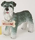 プリティウェルカムドック　シュナイザー