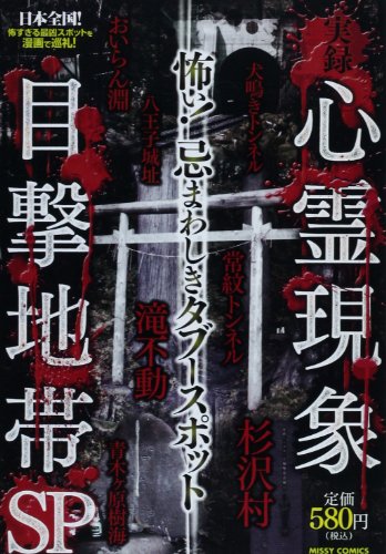 『実録 心霊現象目撃地帯』