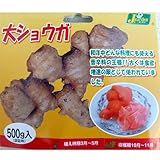 しょうが（種しょうが）：大しょうが500ｇ入り ノーブランド品