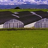 【1本】 4m × 50m 黒 遮光率40～50％ ワイドスクリーン 遮光ネット BK1206 寒冷紗 日本ワイドクロス タ種 代不