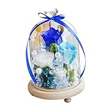 monkeyjackガラス表示Cloche Bell Jarドームプリザーブドフラワー花瓶with Wooden Base ブルー 5fb6dff7cfc5d8d1a2185d37d2121b0f