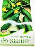 【珍しい品種】カワイイミニきゅうり (5粒入) 珍しい品種の種