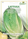 野菜の種 ローメインレタス(コスレタス)