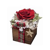 〔エルフルール〕クリアケース付 プリザーブドフラワークリスマスアレンジメント 花 プレゼント