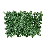 【ノーブランド 品】練習場　40*60cm 　人工　プラスチック　緑　芝生　広い葉　植物　庭　装飾