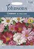 JOFL 英国ジョンソンズシード Cosmos SEA SHELLS MIXED コスモス シーシェルミックス