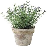 スパイス（SPICE） デコール イミテーション DECOR IMITATION WILD FLOWERS BLUE TADY6040