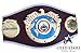 2011年殿堂 マイク ・ タイソン 直筆 サイン 入り WBO レプリカ チャンピオンベルト JSA社 筆跡鑑定シリアルナンバー証明書付き シードスターズ証明書付き