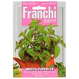 野菜の種 ペパーミント 92/1