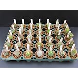 Amazon ハイポネックス 観葉植物用培養土 お家の中でも清潔なサボテン 多肉 観葉植物の土 1l 用土