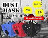 フィルター PM2.5 ハウスダスト ほこり 花粉 症 対策 活性 炭 防塵 マスク ( レッド ) SD-MFKZ001-RD