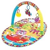Playgro Play in the Park Baby Gym [並行輸入品]