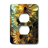 3dRose lsp_29696_6 Color See Thru - 2 Plug Outlet Cover [並行輸入品]