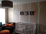 Pop Decors PT-0136-1-Vd Beautiful Wall Decal, Birch Trees [並行輸入品]