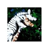 GOZMEZ LAND-CHAOSEXOTICA-