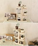 飾り棚　オープンラック　ディスプレイ棚　モミ木　おしゃれ　34.5*20CM　コーヒー色　ラック　BS287