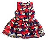 Aikobaby DRESS ベビー・ガールズ US サイズ: 5-6 Years