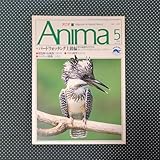 アニマ バードウォッチング 上級編