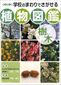 ハンディ版 学校のまわりでさがせる植物図鑑 樹木 文弘 近田 隆久 平野 本 通販 Amazon