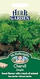 HE 英国ミスターフォザーギルズシード HERB GARDEN Chervil Simple チャービル・シンプル