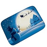 (40x60CM, A) - Fabal Cat Day Christmas New Year Carpet mats Moisture Smoothing Thickness (40x60CM, A