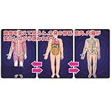 アーテック サイエンスチェンジングカード(人体) 94887