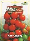 【HORTUS社種子】【Art.4471】イタリアントマト・レッドチェリー（ミニトマト）