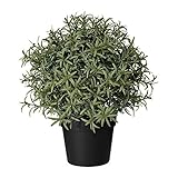 IKEA/イケア　FEJKA：人工観葉植物22 cm　ローズマリー（403.821.15）