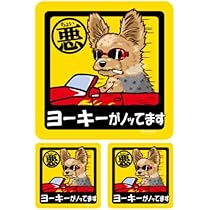 51gBLQBNAHL._AC_UL210_SR210,