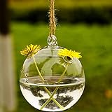 Kicode ガラス花瓶 ホームまたはウェディング用 2つの穴 円形 花