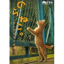 STREET CATS -のらねこ。写真集- | 中川 こうじ |本 | 通販 | Amazon