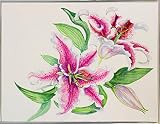 ユリのスタディby Joanne Porter 26.25"x34.5" 89251-60-22FUSA