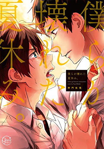 『僕らが壊れた夏休み』