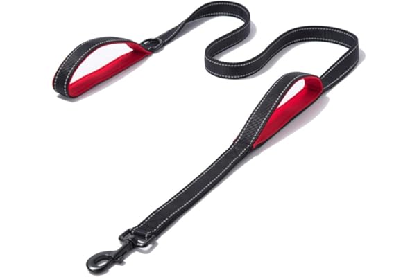 best dog leash amazon