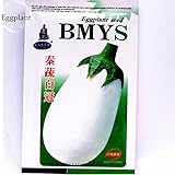 Qinshu白ナスのハイブリッド種子、10グラムオリジナルパック、高収率早生良好な商業文字OQS011Y