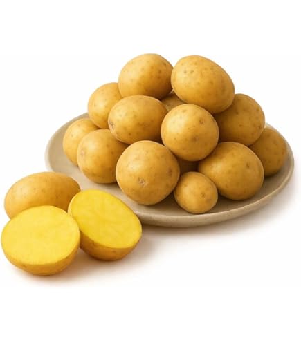 Amazon.co.jp: 北海道剣淵産 シェリー（M～L混）5Kg 北海道産