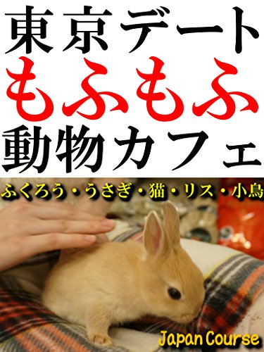 �����f�[�g ���ӂ��� �����J�t�F: �ӂ��낤�E�������E�L�E���X�E�����Ƃ̂ӂꂠ���ό�