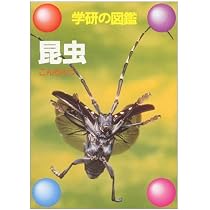 動物 (学研の図鑑) |本 | 通販 | Amazon