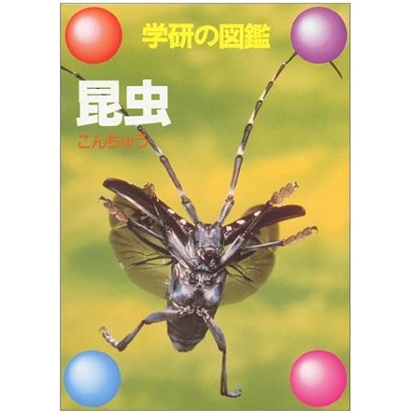 動物 (学研の図鑑) |本 | 通販 | Amazon