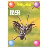 昆虫 (学研の図鑑)