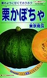カネコ種苗 野菜タネ504 栗かぼちゃ 東京南京 10袋セット