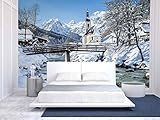 wall26 Wall Muralシリーズ 自己接着式壁紙 大型 100"x144" WMR-WP-X-C630-100x24x6