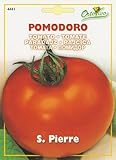 【HORTUS社種子】【Art.4441】イタリアントマト・サンピエール