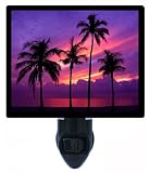 Tropical Night Light – Almost Paradise – Palm Tree Sunset – LEDナイトライト