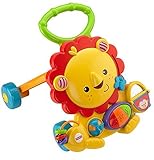Fisher-Price Musical Lion Walker [並行輸入品]
