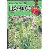 新ヤマケイポケットガイド4 山菜・木の実 (新ヤマケイポケットガイド 4)