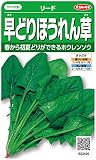 早どりリードほうれん草
