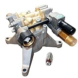 Homelite 308653036 Replacement Pressure Washer Pump for BM80919 , BM80913 2700 PSI With 678169004 Th