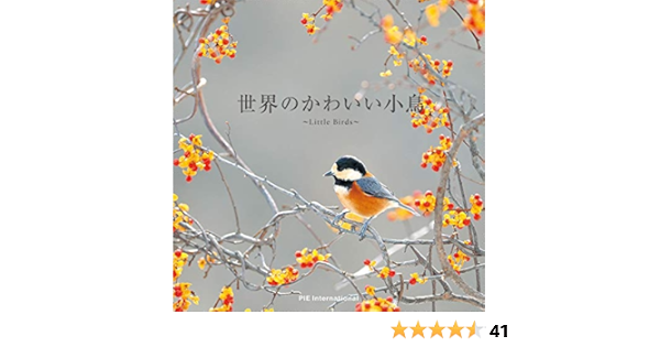 世界のかわいい小鳥 上田恵介 本 通販 Amazon