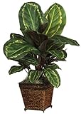 Nearly Natural 6590-05 Maranta with Basket Decorative Silk Plant, Green by Nearly Natural